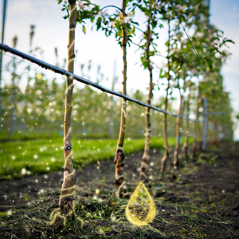 Imagen de sistema de seguridad